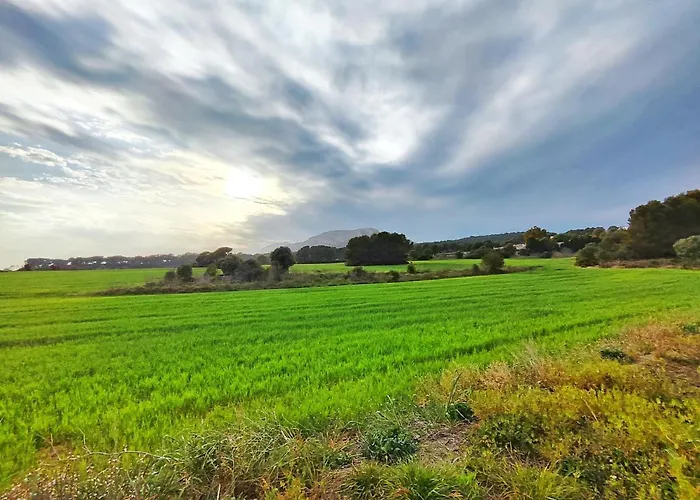 Vakantiehuis Casa Con Piscina En L'estartit Gerona
